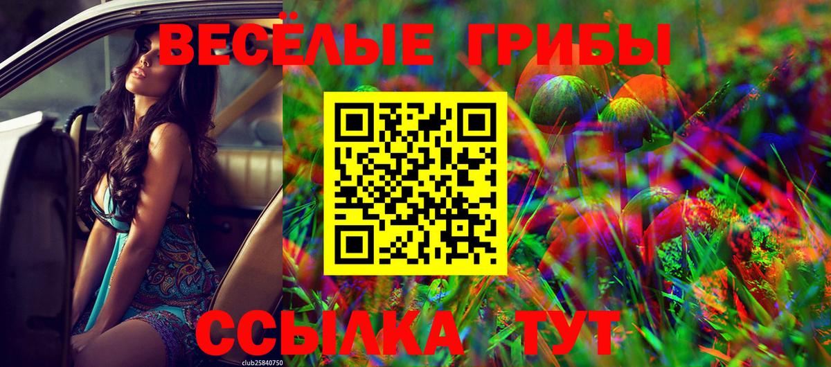 Псилоцибиновые грибы MAGIC MUSHROOMS  цена   Луга  Вход с VPN 